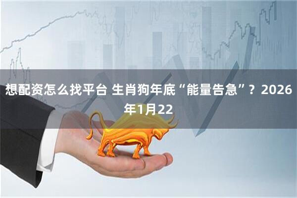 想配资怎么找平台 生肖狗年底“能量告急”？2026年1月22
