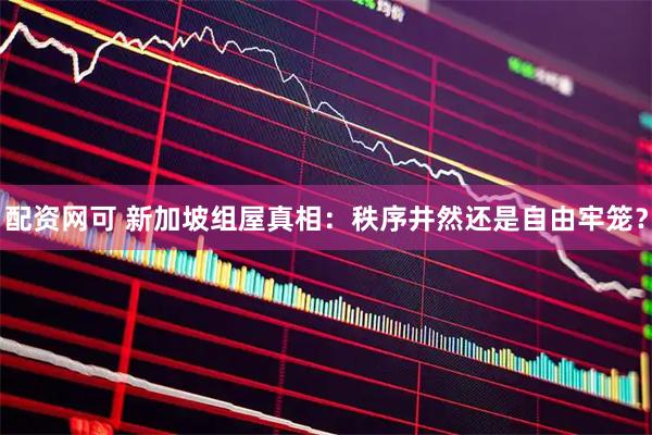配资网可 新加坡组屋真相：秩序井然还是自由牢笼？