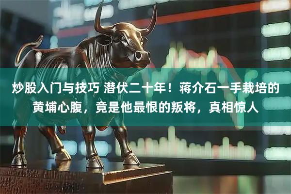 炒股入门与技巧 潜伏二十年！蒋介石一手栽培的黄埔心腹，竟是他最恨的叛将，真相惊人