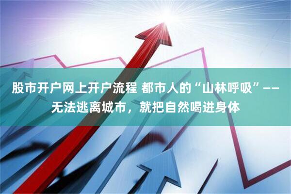 股市开户网上开户流程 都市人的“山林呼吸”——无法逃离城市，就把自然喝进身体