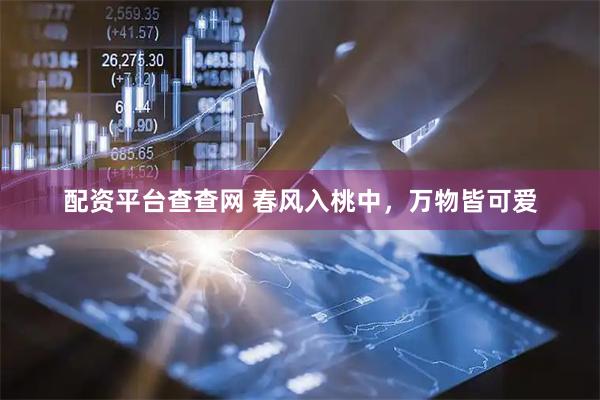 配资平台查查网 春风入桃中，万物皆可爱